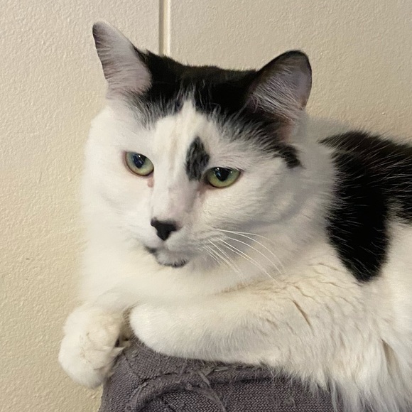 Meet your Posher, Marek - Picture 1 of 1